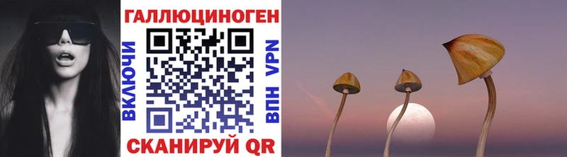 Псилоцибиновые грибы GOLDEN TEACHER Купить Геленджик